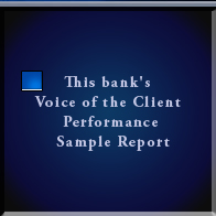 This bank's Voice of the Client Performance Sample Report